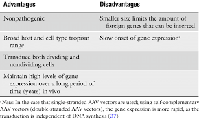disadvanes of aav vectors