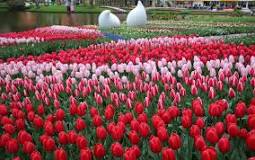 where-is-the-most-famous-tulip-garden-located