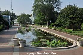 brooklyn botanic garden usa gardens