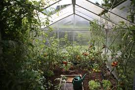 Urban Vegetable Garden The Benefits Of