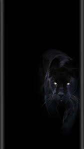 black panther background black