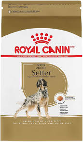 royal canin dog food guide everything