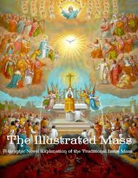 The Illustrated Mass: A Graphic Novel Explanation of the Traditional Latin Mass: Manousos OFM, Fr. Demetrius, McGinnis, Nicole M, Burbank, Addison: 9781986797191: Books - Amazon