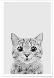 Animal pet cat cute feline. Kitten Classic Poster Juniqe