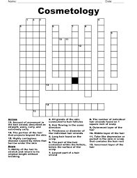 cosmetology crossword wordmint