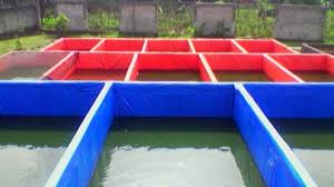 Beli kolam terpal terlengkap & berkualitas harga murah july 2021 terbaru di tokopedia! Kelebihan Dan Kekurangan Budidaya Kolam Terpal Yang Perlu Di Ketahui Telp Wa 082216331010