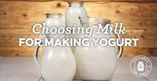 What is the best milk to make yogurt?
