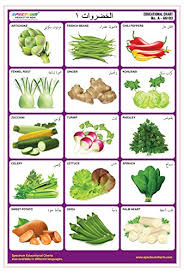 Spectrum Arabic Language Vegetables 1 Pre Primary Kids Learning Laminated Wall Chart