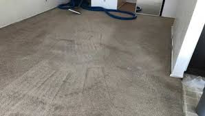 carpet cleaning minneapolis mn yep we