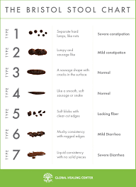 Healthy Poop Chart Stool Color Changes And Meaning Concept