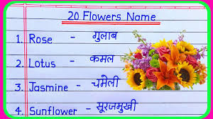 20 flowers name in hindi and english