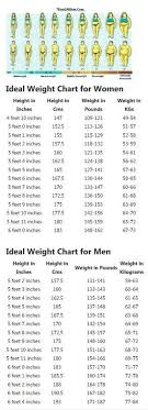 Correct Height And Weight Chart For Women And Men Find Your