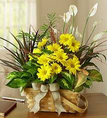 Dish Garden With Fresh Cut Flowers In