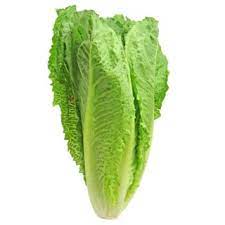 romaine lettuce vs spinach what is the