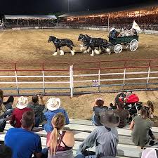 Photo2 Jpg Picture Of Prescott Frontier Days Worlds