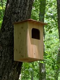 barred owl nest box plans how to build
