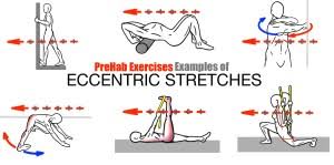 prehab exercises exles of