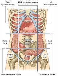 large intestine pain causes of left
