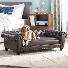 the 9 best dog sofa beds of 2022