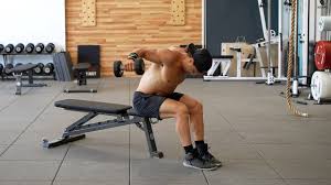 best back workouts with dumbbells at