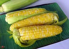 Recipes Corn On The Cob Soscuisine gambar png