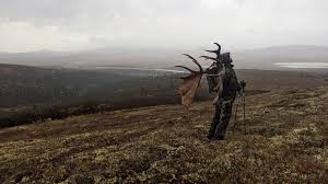 Contact us early, as we only book a maximum of six, full, camp rentals at a time. How To Plan A Do It Yourself Alaskan Moose Hunt Gohunt