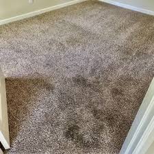 oxi fresh carpet cleaning kent