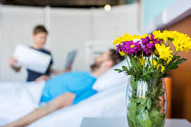 Here you can browse flowers that represent health. How To Choose The Right Get Well Flowers For Anyone Avas Flowers