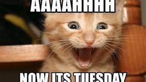 Go through some funny memes, graphics, and sayings about tuesday to share on with your colleagues on facebook, pinterest. 15 Happy Tuesday Memes Best Funny Tuesday Memes