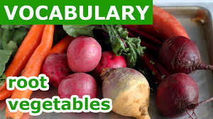 Root Vegetables Vocabulary Learn English Vocabulary With Picture Lesson 30