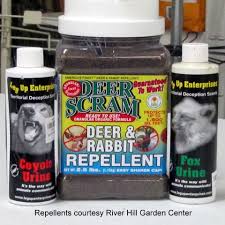 Deer Country 4 Do Repellents Work
