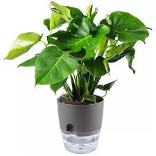 Self Watering Plant Pots Flower Pot