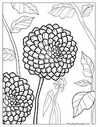 53 flower coloring pages free pdf