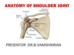 This mobility provides the upper extremity with tremendous range of motion such as adduction, abduction, flexion, extension, internal rotation, external rotation, and 360° circumduction in the shoulder joint anatomy. Anatomy Of Shoulder Joint Vamshi Kiran