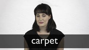 carpet definition in american english