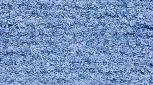 blue carpet texture images free