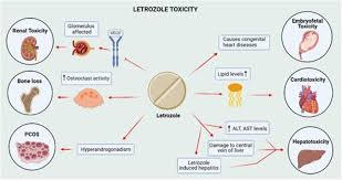 letrozole pharmacology toxicity and