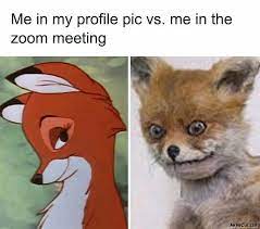 Click through the photos above for zoom fails, memes. Me In My Profile Pic Vs Me In The Zoom Meeting Meme Memezila Com