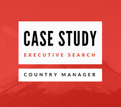 Leadership change  A case study analysis of strategy and control    