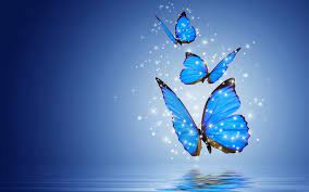 Butterfly Laptop Aesthetic Wallpapers ...