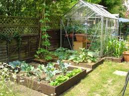 Yard Vegetable Garden Ideas