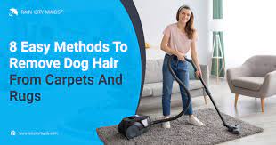 remove dog hair from carpets and rugs