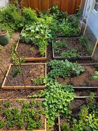 Raised Bed Gardening Vegetable Garden
