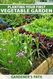 How to Plant Your First Vegetable Garden | Gardener's Path