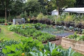how to set up a permaculture garden