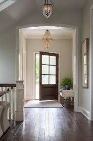Frosted Glass Pane Front Door Design Ideas