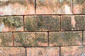 How To Clean Old Brick Pavers
