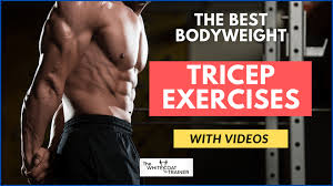 the 11 best bodyweight tricep exercises