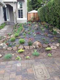 Drought Tolerant Landscaping Bay Area