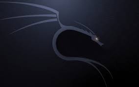 Filter by device filter by resolution. Wallpaper Gray And Black Dragon Wallpaper Linux Kali Linux Nethunter Wallpaper For You Hd Wallpaper For Desktop Mobile